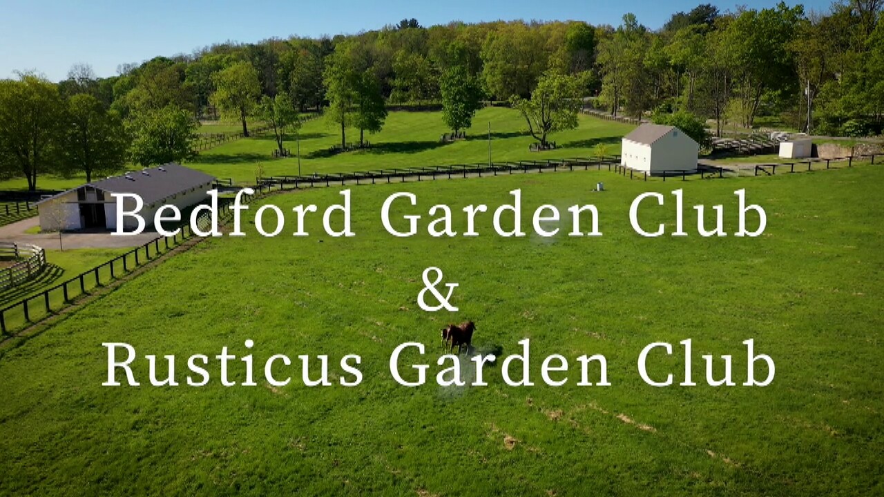 Beford Garden Club